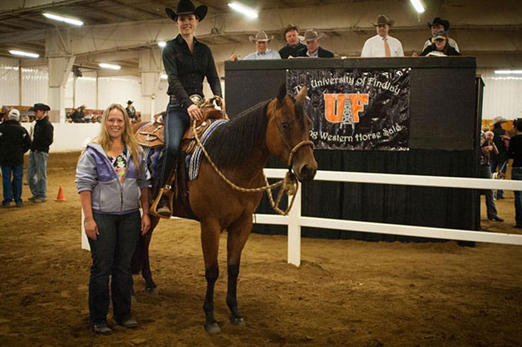 The 2014 Spring Horse Sale's top seller, KM Vested Only.