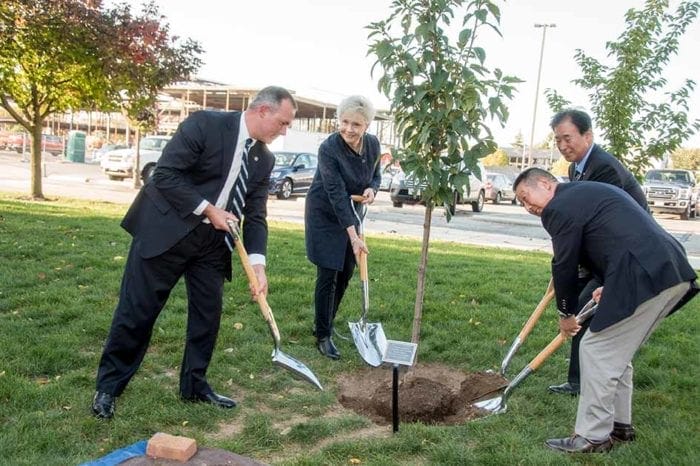 planting trees on campus