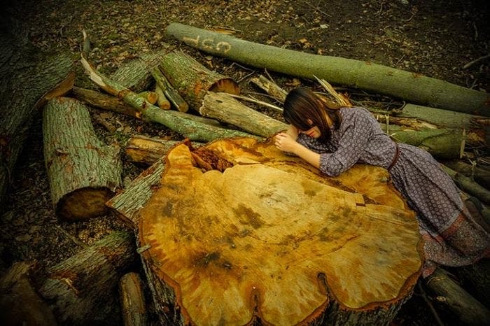 girl laying on cut logs