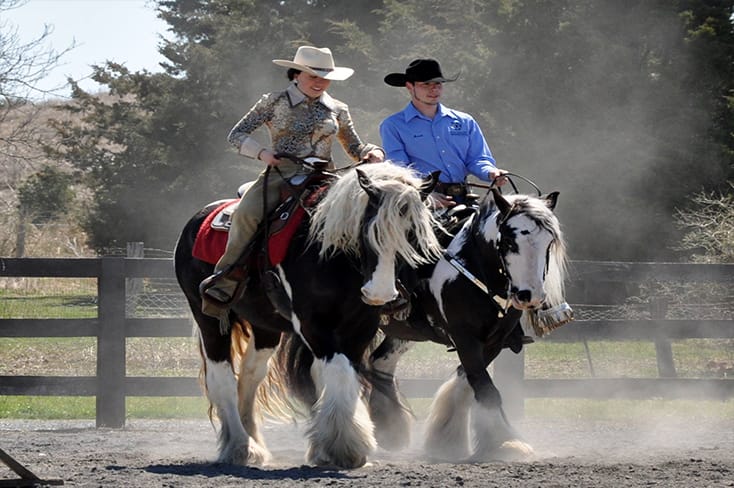 two riders on gypsy vanner horses