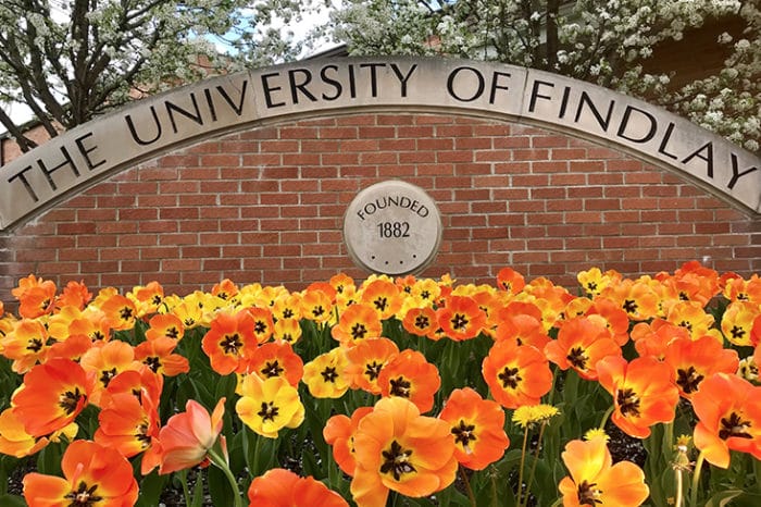 UF monument behind orange tulips