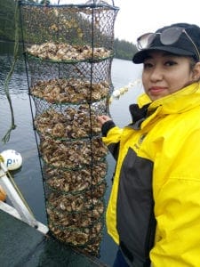 Nirusha Biju Kakshapati, a UF graduate student in the Environmental Safety and Health Management Program, inspects shellfish at an oyster farm in Alaska.