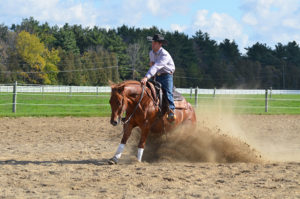 Send your horse to college