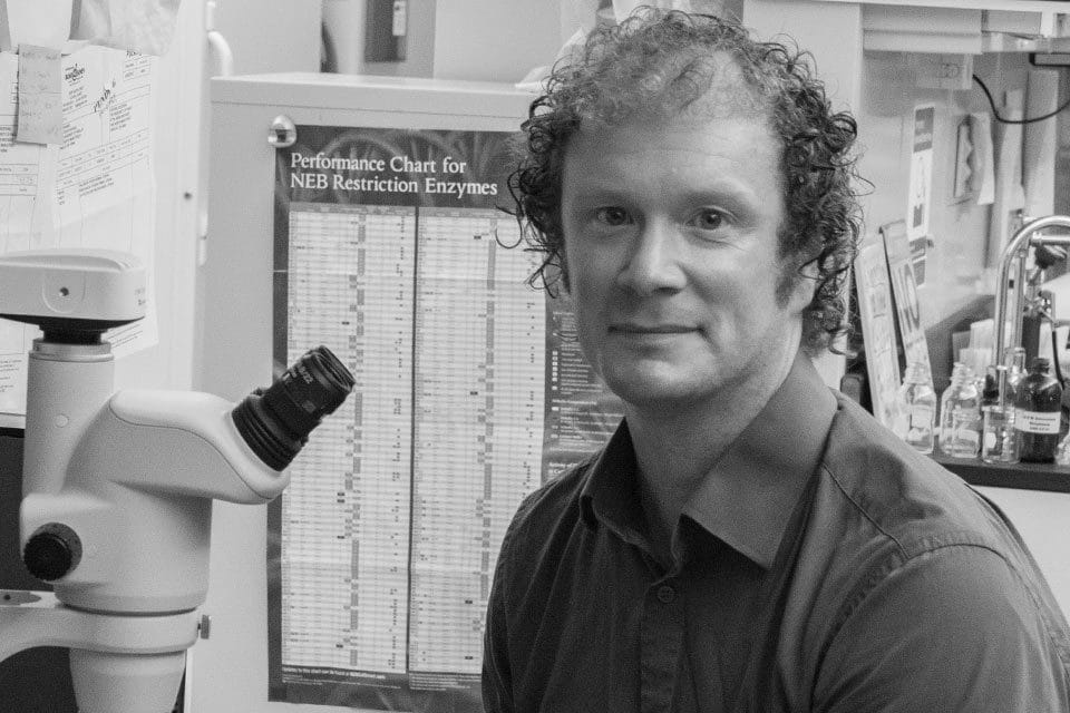 Brian D. Whitaker, Ph.D., associate professor of animal science