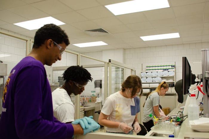 Students at Pharmacy Summer Camp 2021