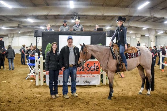 Spring Horse Sale picture of student on sale horse