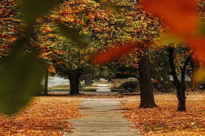 University of Findlay Students Present Findings to City of Findlay