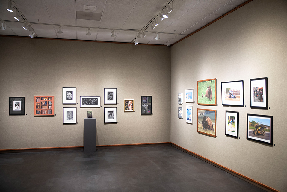 Senior Art Exhibits Showcase Creative Excellence at Findlay