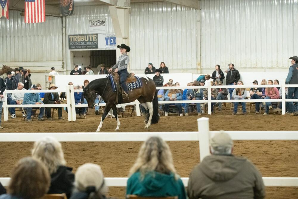 Young rider on horseback performing in an indoor equestrian arena as spectators watch.